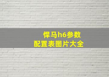 悍马h6参数配置表图片大全