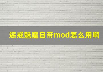 惩戒魅魔自带mod怎么用啊