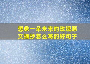 想象一朵未来的玫瑰原文摘抄怎么写的好句子