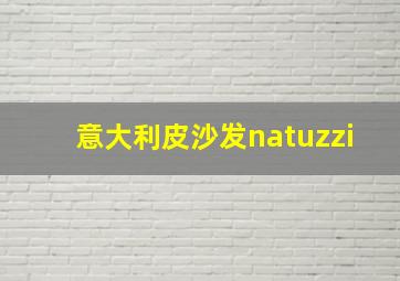 意大利皮沙发natuzzi