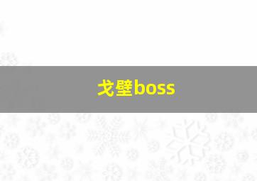 戈壁boss