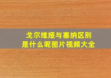 戈尔维娅与塞纳区别是什么呢图片视频大全