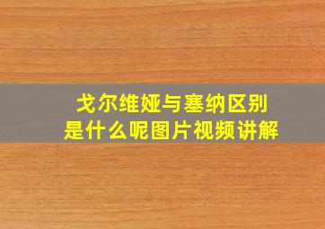 戈尔维娅与塞纳区别是什么呢图片视频讲解