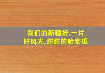 我们的新疆好,一片好风光,甜甜的哈密瓜