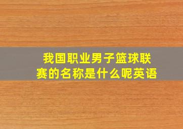 我国职业男子篮球联赛的名称是什么呢英语