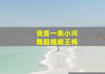 我是一条小河舞蹈视频王梅