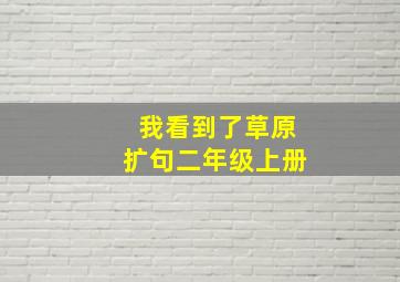 我看到了草原扩句二年级上册