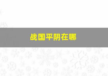 战国平阴在哪