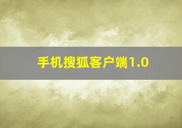 手机搜狐客户端1.0