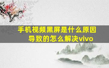 手机视频黑屏是什么原因导致的怎么解决vivo