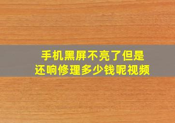 手机黑屏不亮了但是还响修理多少钱呢视频