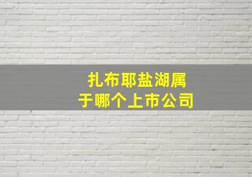 扎布耶盐湖属于哪个上市公司