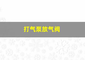 打气泵放气阀