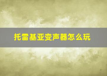 托雷基亚变声器怎么玩