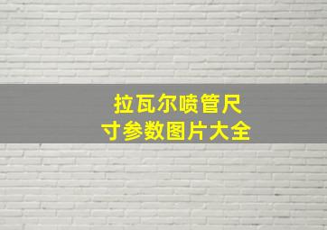 拉瓦尔喷管尺寸参数图片大全