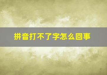 拼音打不了字怎么回事