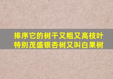 排序它的树干又粗又高枝叶特别茂盛银杏树又叫白果树