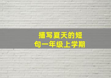 描写夏天的短句一年级上学期