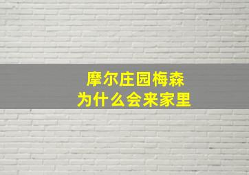 摩尔庄园梅森为什么会来家里