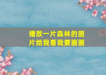 播放一片森林的图片给我看我要画画