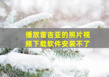 播放雷吉亚的照片视频下载软件安装不了