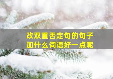 改双重否定句的句子加什么词语好一点呢