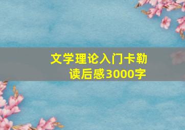 文学理论入门卡勒读后感3000字