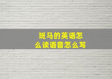 斑马的英语怎么读语音怎么写