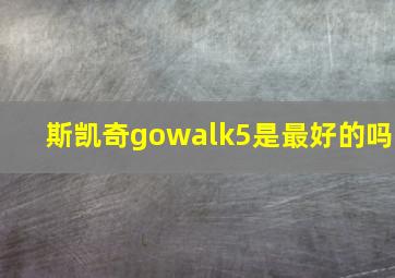 斯凯奇gowalk5是最好的吗