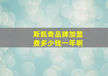 斯凯奇品牌加盟费多少钱一年啊