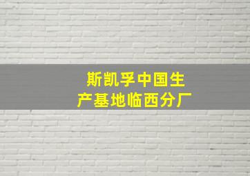 斯凯孚中国生产基地临西分厂