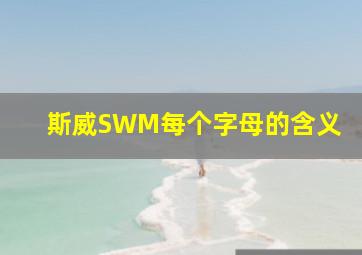 斯威SWM每个字母的含义