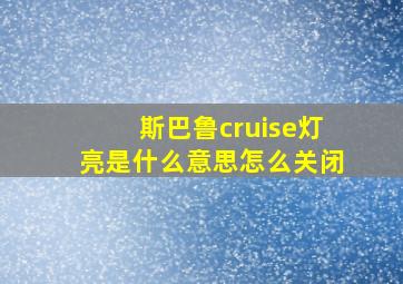 斯巴鲁cruise灯亮是什么意思怎么关闭