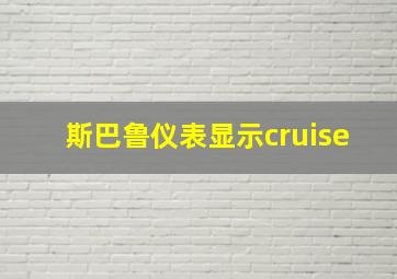 斯巴鲁仪表显示cruise