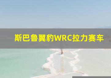 斯巴鲁翼豹WRC拉力赛车