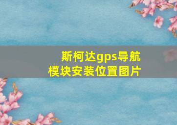 斯柯达gps导航模块安装位置图片