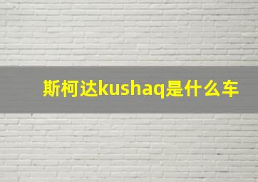 斯柯达kushaq是什么车