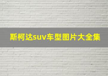 斯柯达suv车型图片大全集