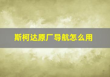 斯柯达原厂导航怎么用