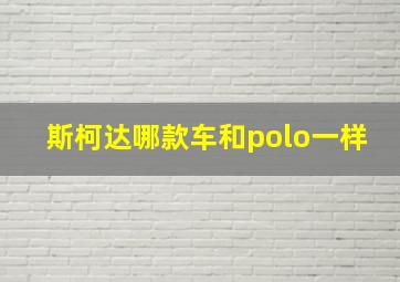 斯柯达哪款车和polo一样