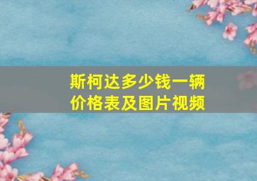 斯柯达多少钱一辆价格表及图片视频