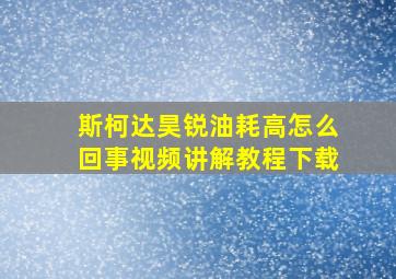 斯柯达昊锐油耗高怎么回事视频讲解教程下载