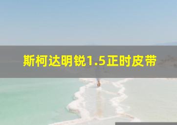 斯柯达明锐1.5正时皮带