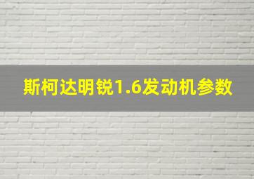 斯柯达明锐1.6发动机参数