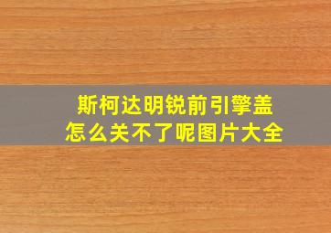 斯柯达明锐前引擎盖怎么关不了呢图片大全