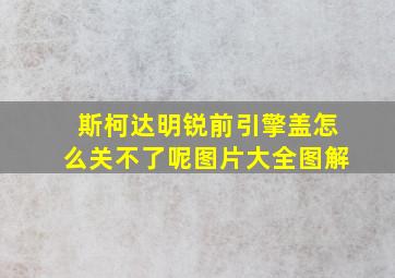 斯柯达明锐前引擎盖怎么关不了呢图片大全图解