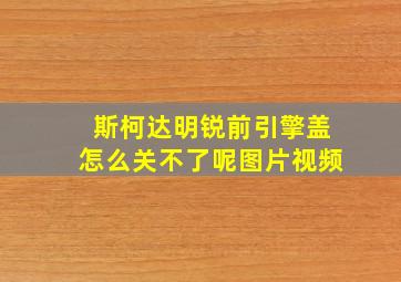 斯柯达明锐前引擎盖怎么关不了呢图片视频