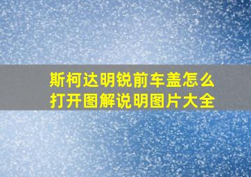 斯柯达明锐前车盖怎么打开图解说明图片大全