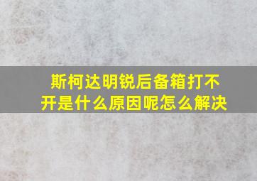 斯柯达明锐后备箱打不开是什么原因呢怎么解决