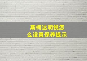 斯柯达明锐怎么设置保养提示